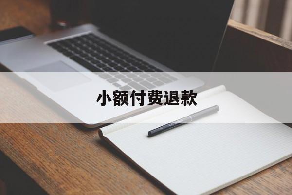 小额付费退款(小额退款退到哪里了)